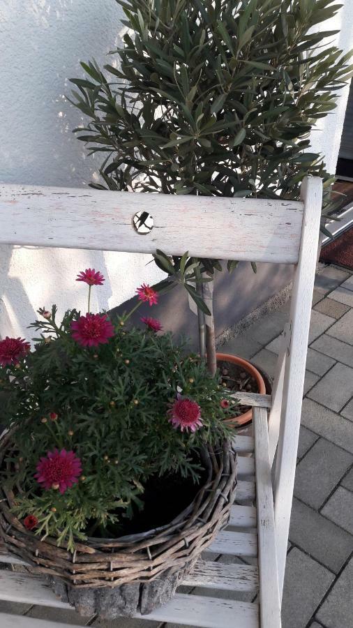 Ferienwohnung Sayntalblick Caan Luaran gambar